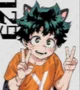 Izuku Midoriya Cat