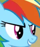 MLP Rainbow Dash
