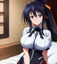 akeno himejime