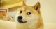 Doge