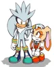 Silver The Hedgehog