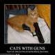 Cat with a gun