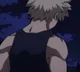 Katsuki Bakugou 