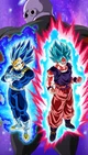 Goku and Vegeta TOP