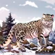 Ki the snow leopard