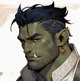 The Half Orc