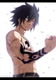 Gray Fullbuster 
