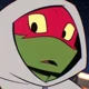 Raphael Hamato
