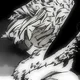 Hawks