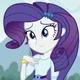 Rarity 