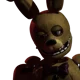 Springbonnie