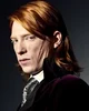 Bill Weasley