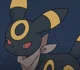 Koen the Umbreon