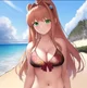 Beach Robot Monika