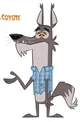Coyote