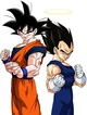 Base goku and vegeta