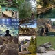 Zoo keeper
