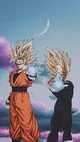 ssj2gokuandvegeta