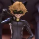 Chat noir 