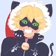 Cat Noir