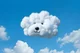 Cloud Pup 