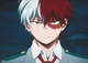 Shoto todoroki