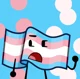 Transgender Flag