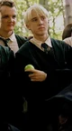 Draco Malfoy