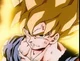 Gokus Rage