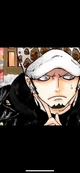 Trafalgar Law