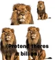 1 Billion Lions