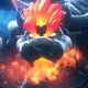 Fury Bowser