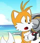 Tails principe