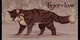 Tigerclaw
