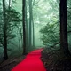 The Red Path