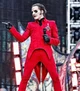 Cardinal Copia
