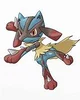 Jake the riolu