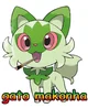 Gato makonha
