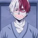 Shoto todoroki
