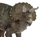 Triceratops