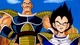 Vegeta And Nappa SS