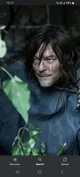 Daryl Dixon