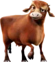 Edith the Cow