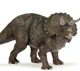 Triceratops Dinosaur