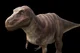 Tyrannosaurus