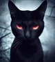 Black Cat-familiar