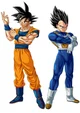 Goku and Vegeta