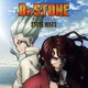 Dr Stone RP