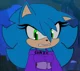Sonica The hedegon 