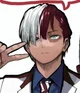 Todoroki shoto 